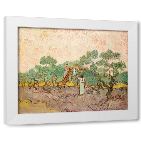 Women Picking Olives (1889) White Modern Wood Framed Art Print by Van Gogh, Vincent