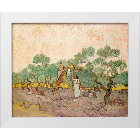 Women Picking Olives (1889) White Modern Wood Framed Art Print by Van Gogh, Vincent