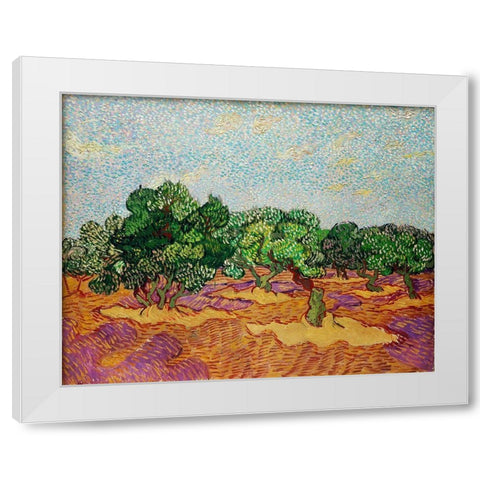 Olive Trees (1889) White Modern Wood Framed Art Print by Van Gogh, Vincent