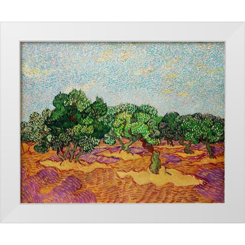 Olive Trees (1889) White Modern Wood Framed Art Print by Van Gogh, Vincent
