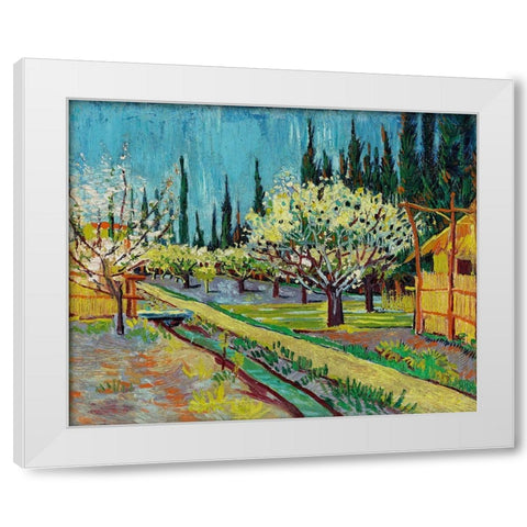 Orchard Bordered by Cypresses (1888) White Modern Wood Framed Art Print by Van Gogh, Vincent