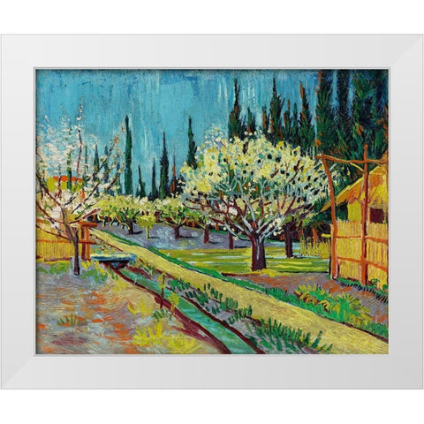 Orchard Bordered by Cypresses (1888) White Modern Wood Framed Art Print by Van Gogh, Vincent