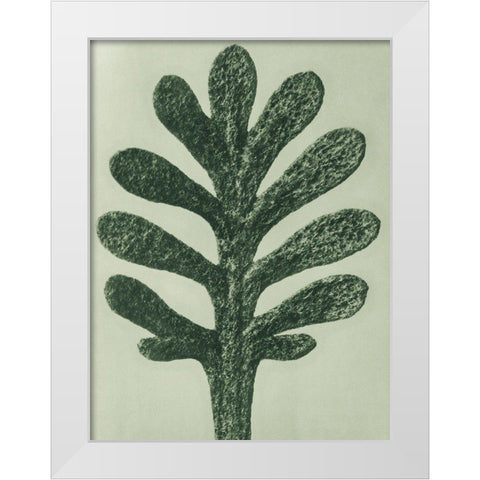 Achillea Umbellata (Yarrow) White Modern Wood Framed Art Print by Blossfeldt, Karl