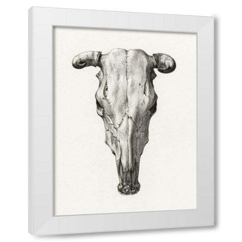 Skull of a cow White Modern Wood Framed Art Print by Bernard, Jean