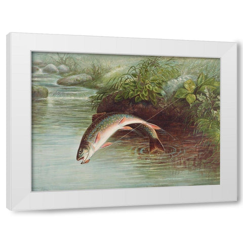 Leaping Brook Trout White Modern Wood Framed Art Print by Kilbourne, Samuel