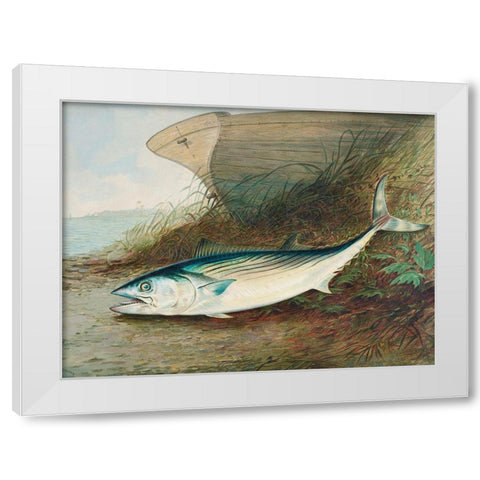 Mackerel White Modern Wood Framed Art Print by Kilbourne, Samuel