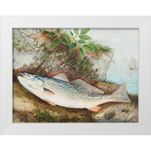 The Weakfish White Modern Wood Framed Art Print by Kilbourne, Samuel