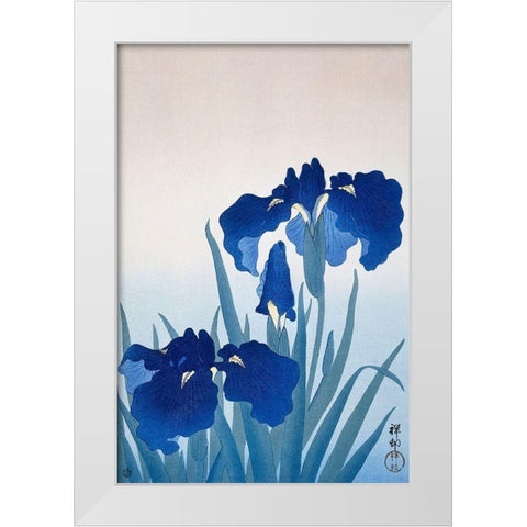 Iris flowers White Modern Wood Framed Art Print by Koson, Ohara