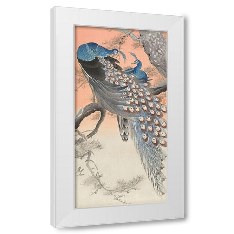 Two peacocks on tree branch White Modern Wood Framed Art Print by Koson, Ohara