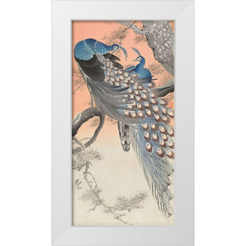 Two peacocks on tree branch White Modern Wood Framed Art Print by Koson, Ohara