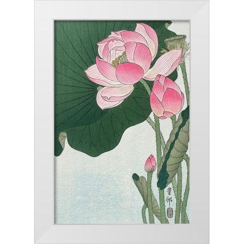 Blooming lotus flowers White Modern Wood Framed Art Print by Koson, Ohara