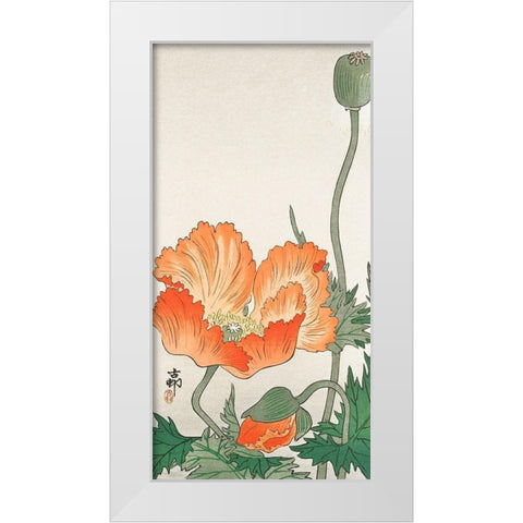 Orange Poppy White Modern Wood Framed Art Print by Koson, Ohara