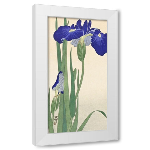 Blue Irises White Modern Wood Framed Art Print by Koson, Ohara