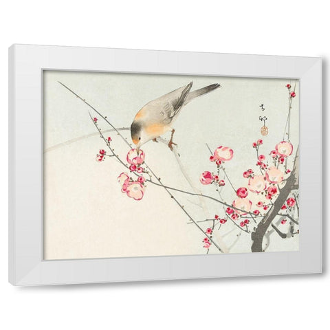 Songbird on blossom branch White Modern Wood Framed Art Print by Koson, Ohara