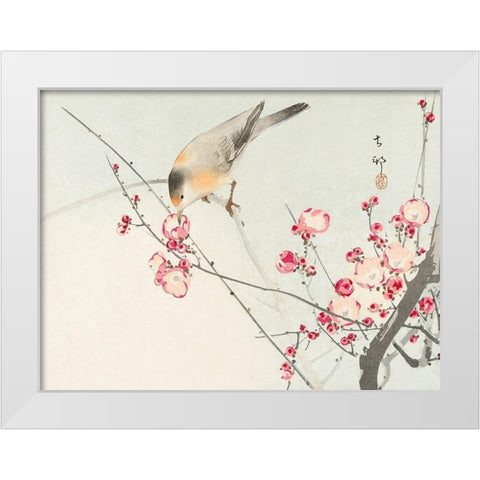 Songbird on blossom branch White Modern Wood Framed Art Print by Koson, Ohara