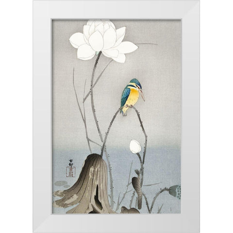 Kingfisher with Lotus Flower White Modern Wood Framed Art Print by Koson, Ohara