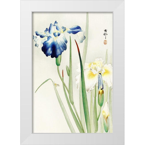 Irises White Modern Wood Framed Art Print by Koson, Ohara