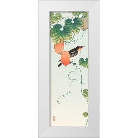 Songbird in cucumber plant White Modern Wood Framed Art Print by Koson, Ohara