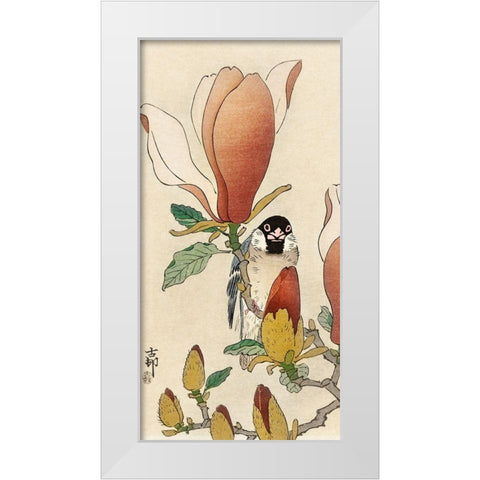 Sparrow on blooming magnolia branch White Modern Wood Framed Art Print by Koson, Ohara