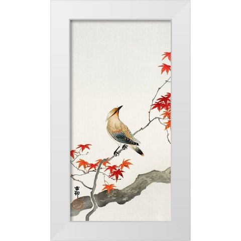 Japanese plague bird on maple White Modern Wood Framed Art Print by Koson, Ohara