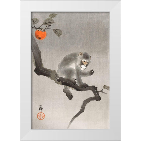 Monkey in cockatoo White Modern Wood Framed Art Print by Koson, Ohara