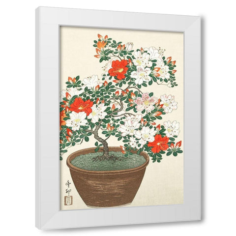 Blooming azalea in brown pot White Modern Wood Framed Art Print by Koson, Ohara