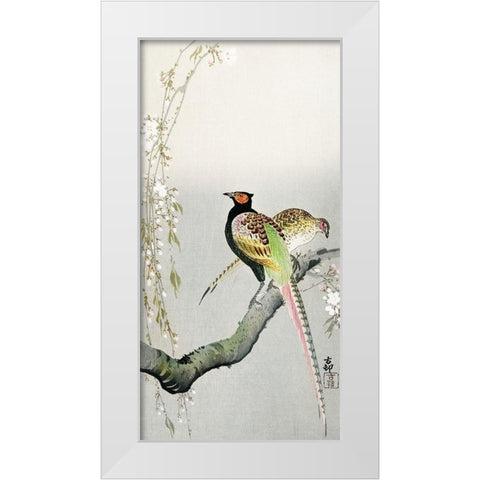 Couple pheasants and cherry blossom White Modern Wood Framed Art Print by Koson, Ohara