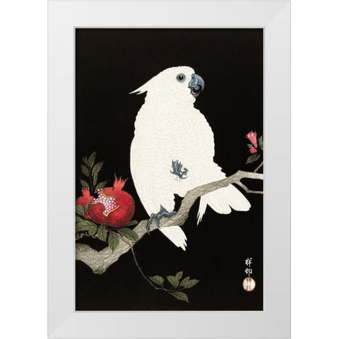 Cockatoo and pomegranate White Modern Wood Framed Art Print by Koson, Ohara