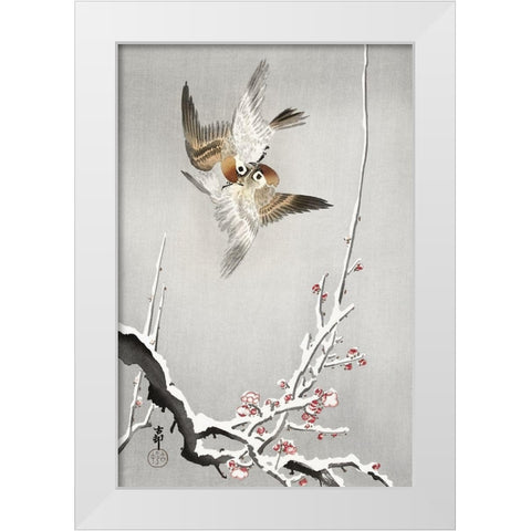Sparrows and snowy plum tree White Modern Wood Framed Art Print by Koson, Ohara