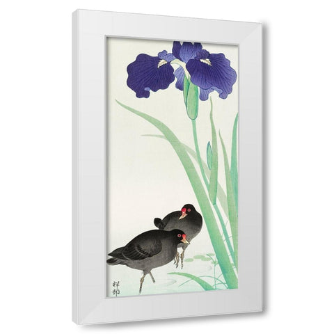 Waterhoots and iris White Modern Wood Framed Art Print by Koson, Ohara
