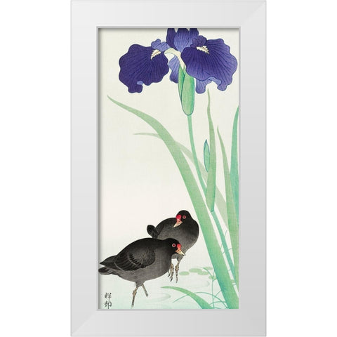 Waterhoots and iris White Modern Wood Framed Art Print by Koson, Ohara