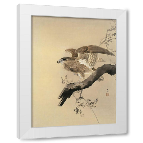 Hawk White Modern Wood Framed Art Print by Koson, Ohara