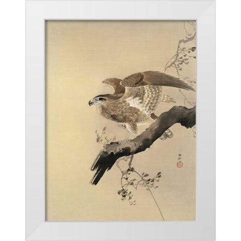 Hawk White Modern Wood Framed Art Print by Koson, Ohara