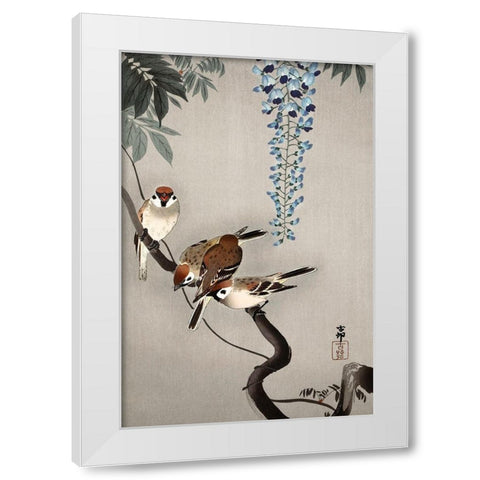 Ring sparrows at wisteria White Modern Wood Framed Art Print by Koson, Ohara