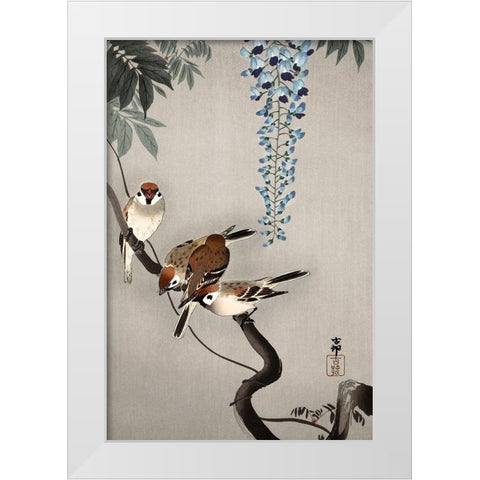 Ring sparrows at wisteria White Modern Wood Framed Art Print by Koson, Ohara