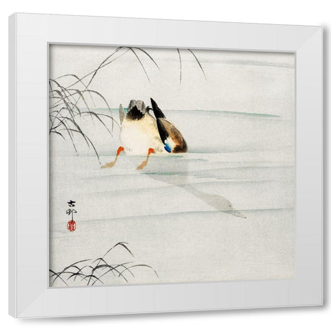 Mallard, the head under water White Modern Wood Framed Art Print by Koson, Ohara