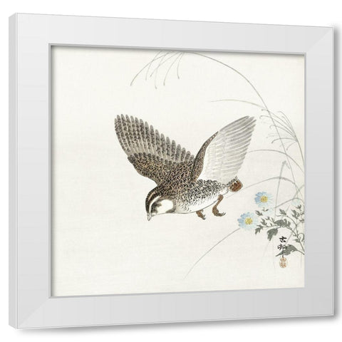 Flying quail White Modern Wood Framed Art Print by Koson, Ohara
