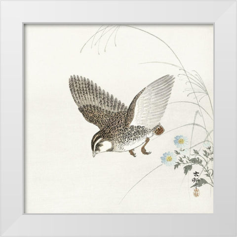 Flying quail White Modern Wood Framed Art Print by Koson, Ohara