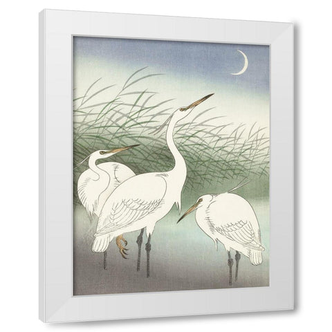Herons in shallow water White Modern Wood Framed Art Print by Koson, Ohara