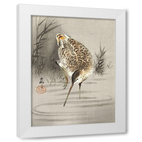 Snipe in the water White Modern Wood Framed Art Print by Koson, Ohara