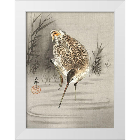 Snipe in the water White Modern Wood Framed Art Print by Koson, Ohara