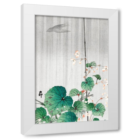 Begonia in the rainÂ  White Modern Wood Framed Art Print by Koson, Ohara
