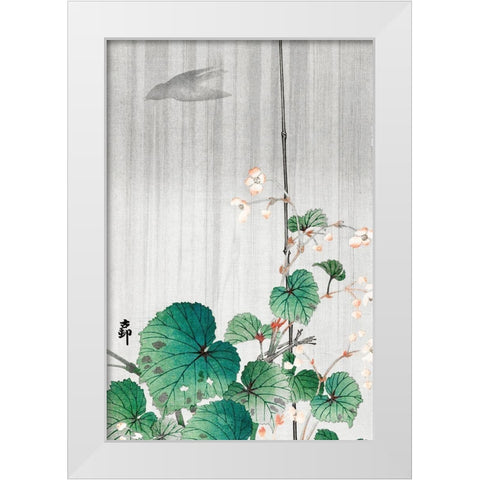 Begonia in the rainÂ  White Modern Wood Framed Art Print by Koson, Ohara