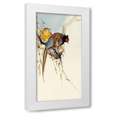 Pheasant couple and plum blossom White Modern Wood Framed Art Print by Koson, Ohara