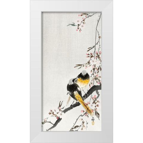 Two sable red tails with cherry blossom White Modern Wood Framed Art Print by Koson, Ohara