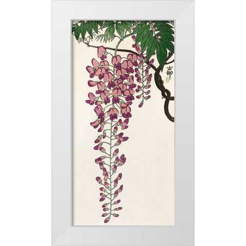 Blooming wisteria White Modern Wood Framed Art Print by Koson, Ohara