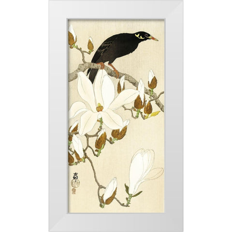 Myna on Magnolia Branch White Modern Wood Framed Art Print by Koson, Ohara