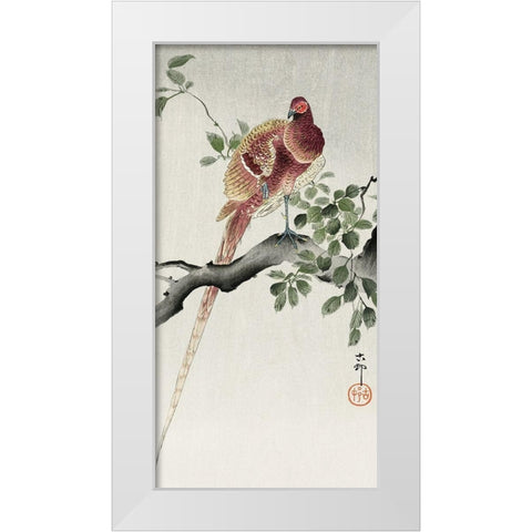 Copper pheasant White Modern Wood Framed Art Print by Koson, Ohara