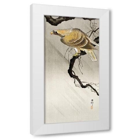 Eagle on branch White Modern Wood Framed Art Print by Koson, Ohara