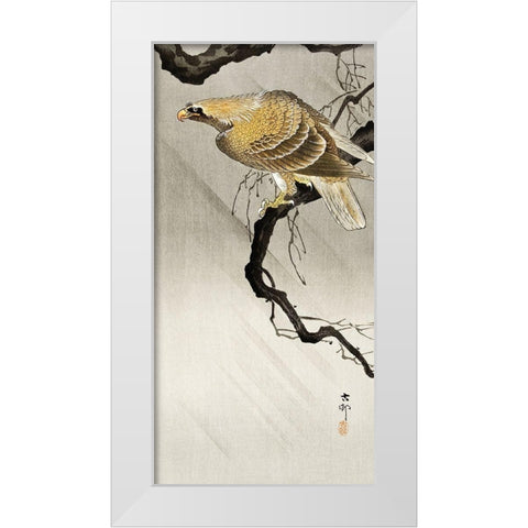 Eagle on branch White Modern Wood Framed Art Print by Koson, Ohara